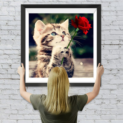 Katze mit roter Rose Diamond Painting