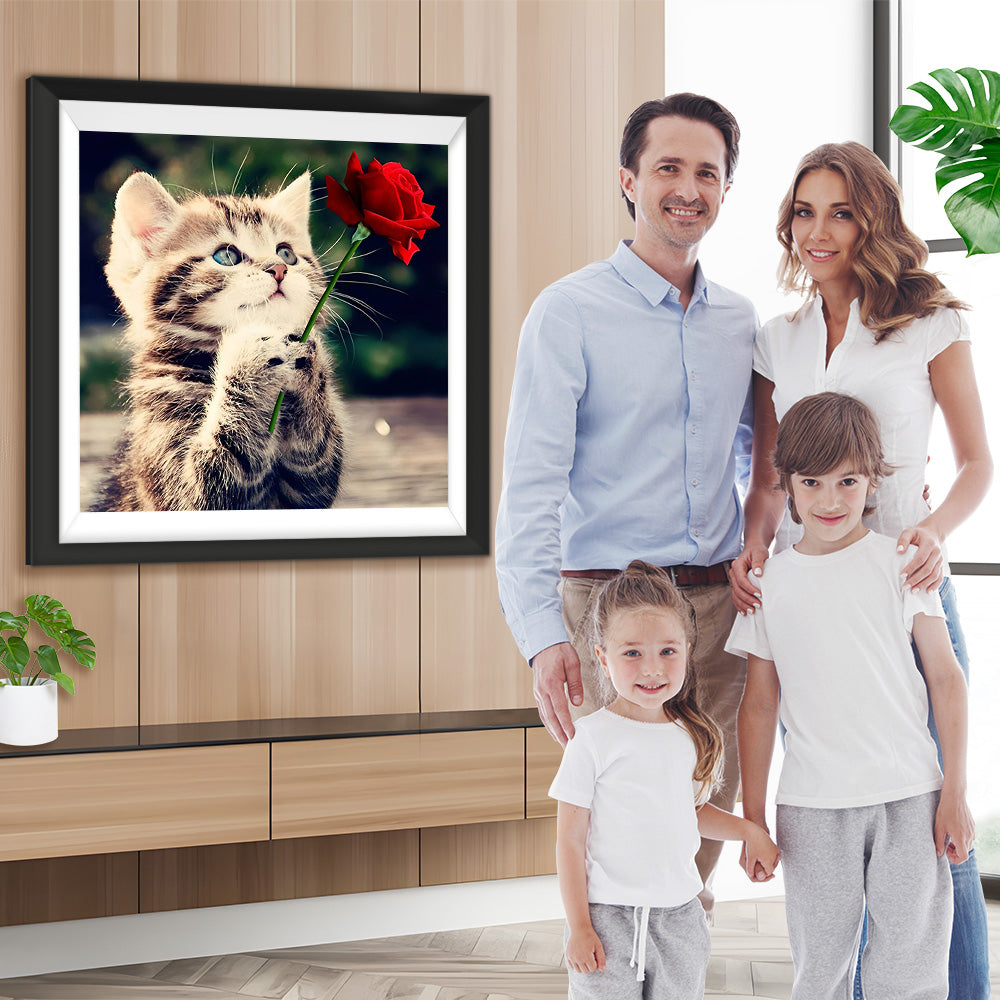 Katze mit roter Rose Diamond Painting