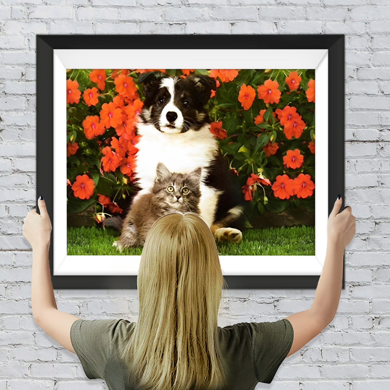 Katze und Border Collie vor roten Blumen Diamond Painting