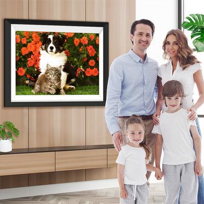 Katze und Border Collie vor roten Blumen Diamond Painting