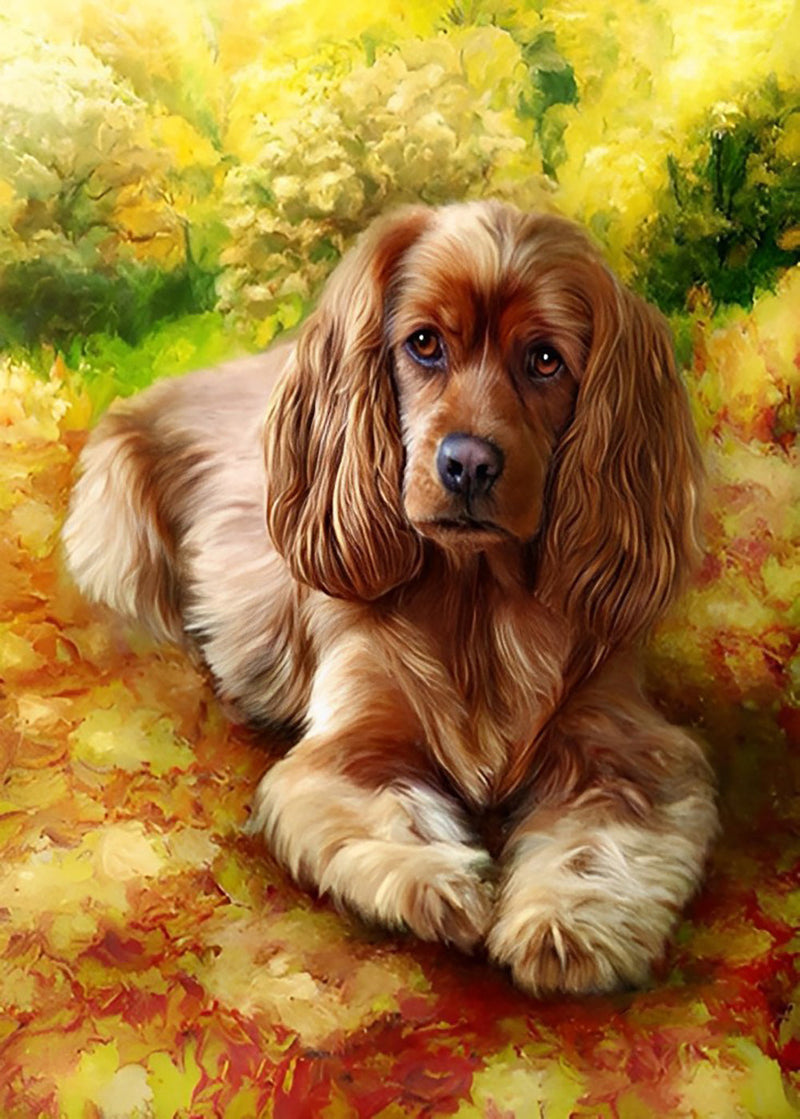 King Charles Spaniel Diamond Painting