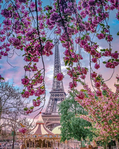 Kirschbäume und Eiffelturm Diamond Painting