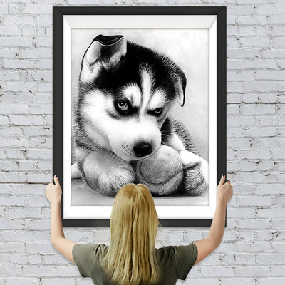 Kleiner Alaska-Hund Diamond Painting