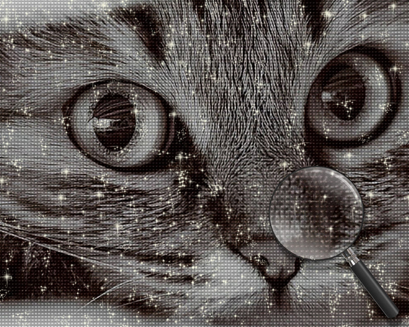 Kleines graues Kätzchen Diamond Painting