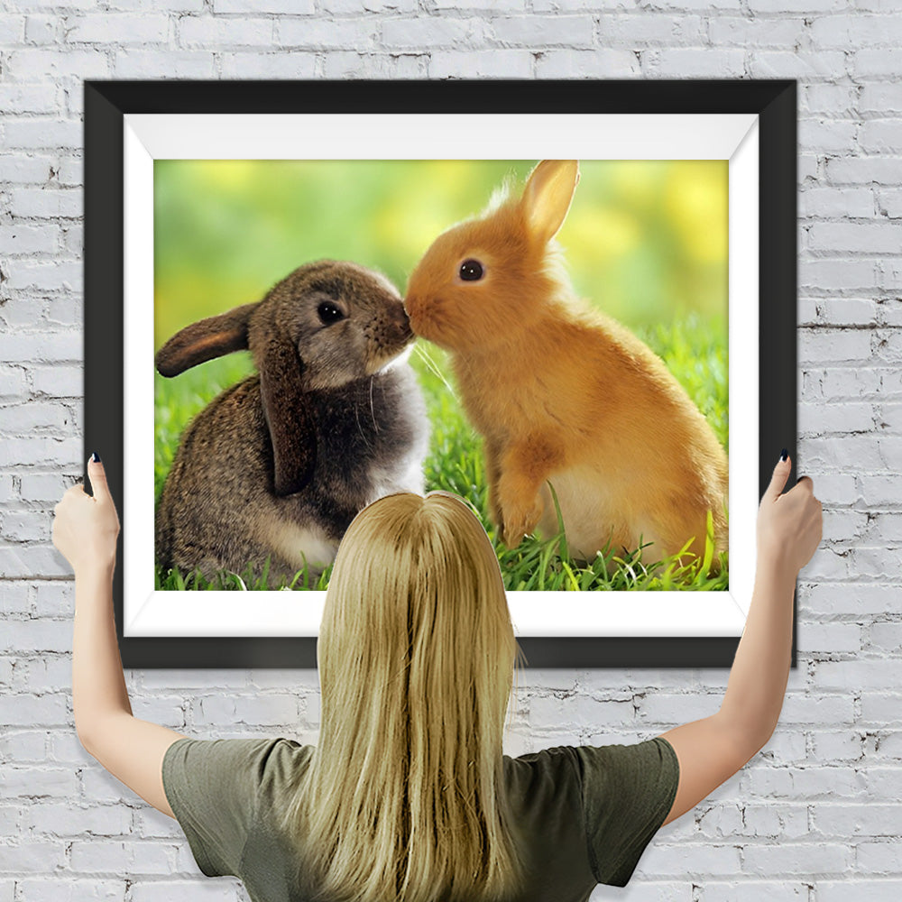 Küssende Hasen auf dem Gras Diamond Painting