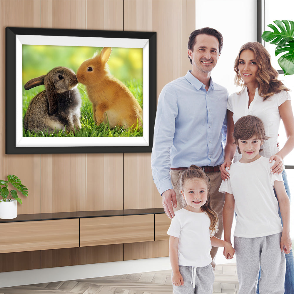 Küssende Hasen auf dem Gras Diamond Painting