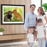 Küssende Hasen auf dem Gras Diamond Painting