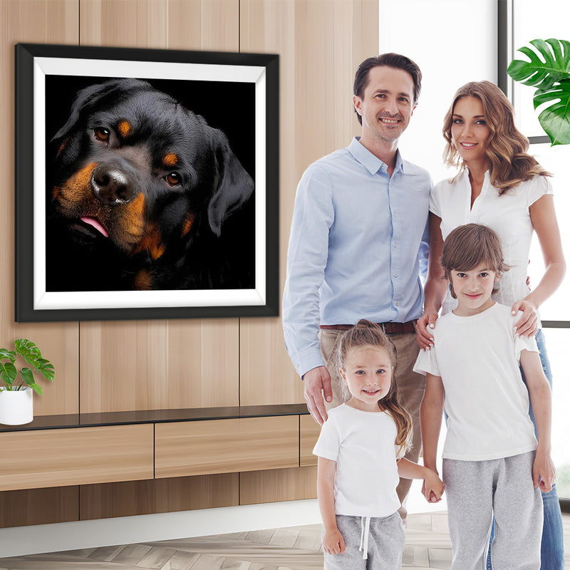 Labrador Diamond Painting