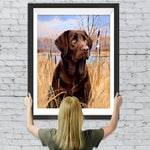 Labrador im Gras Diamond Painting