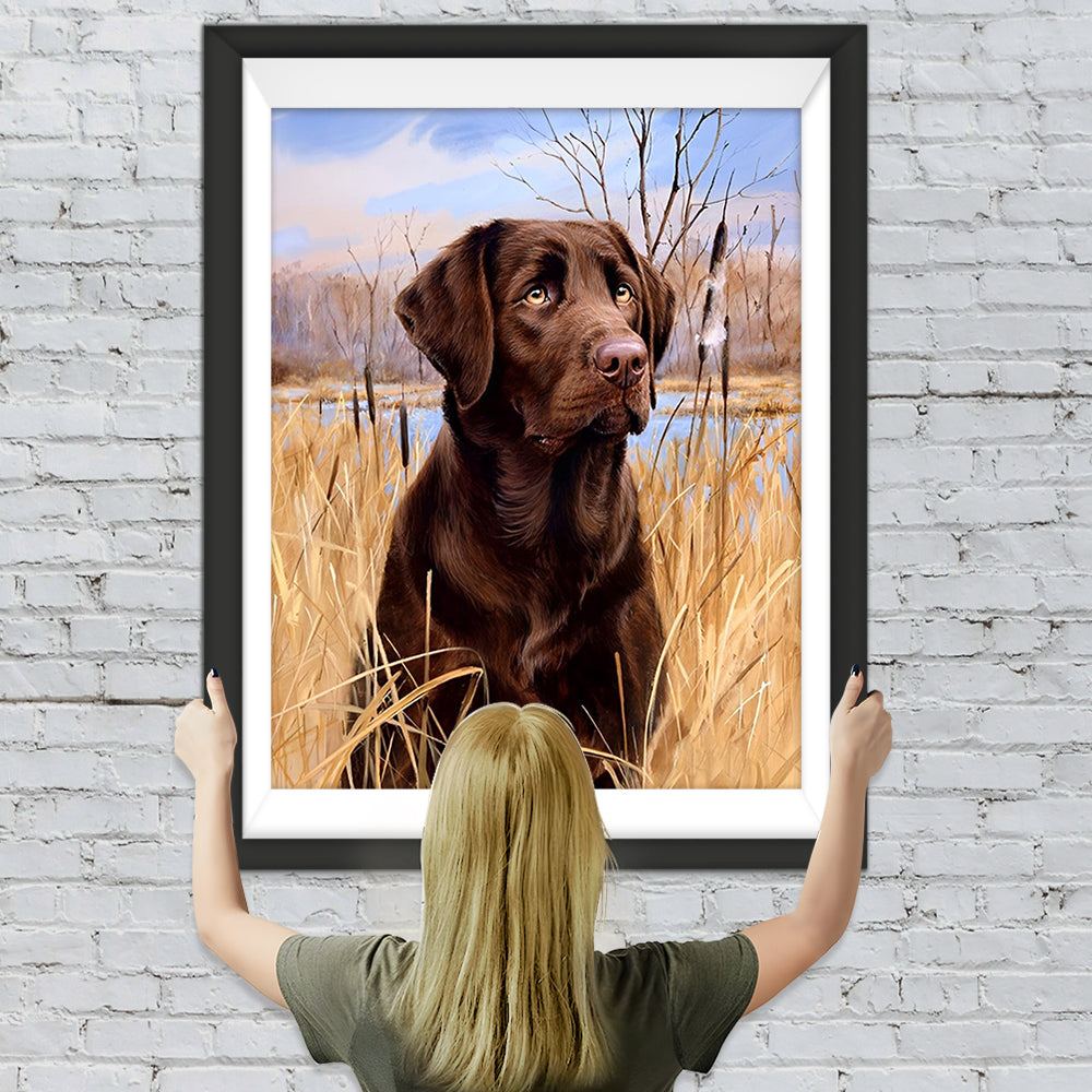 Labrador im Gras Diamond Painting