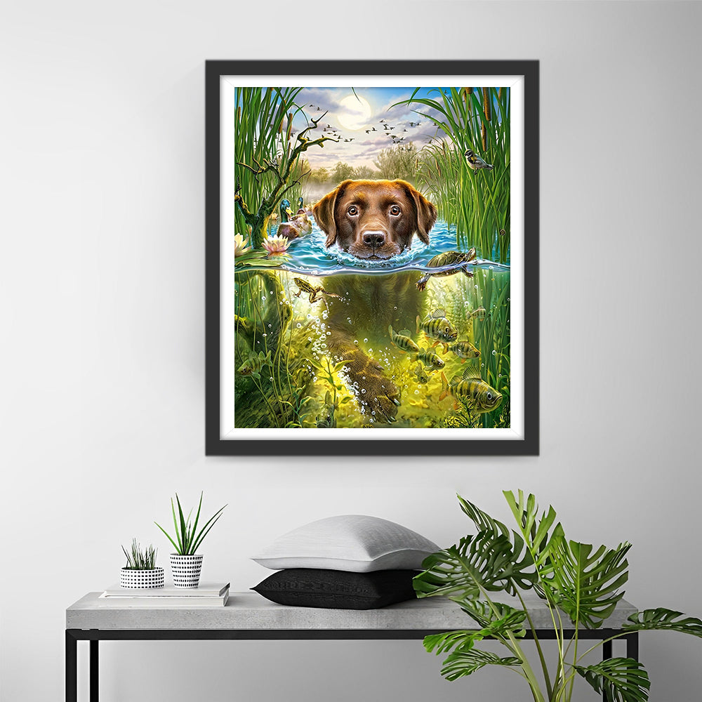 Labrador Retriever im Wasser fischen Diamond Painting