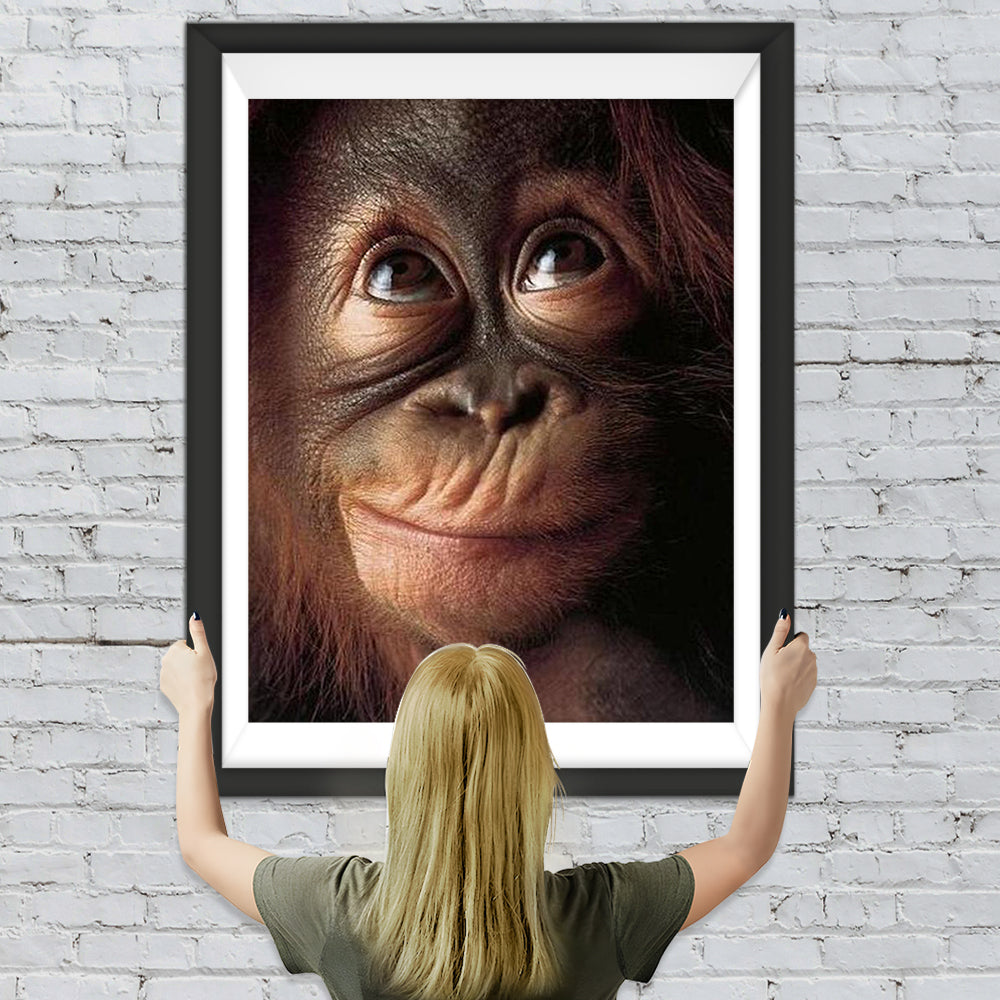 Lachender Affe Diamond Painting