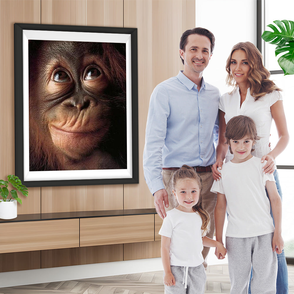 Lachender Affe Diamond Painting