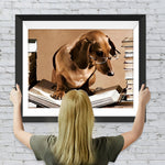 Lesender Dackel Diamond Painting