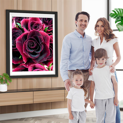 Lila-schwarze Rosen Diamond Painting