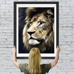 Löwe Diamond Painting