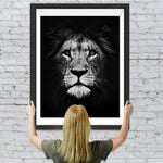 Löwe in der Dunkelheit Diamond Painting