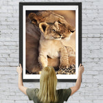 Löwen Diamond Painting