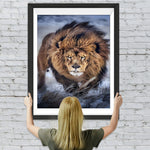 Löwenkönig im Schnee Diamond Painting