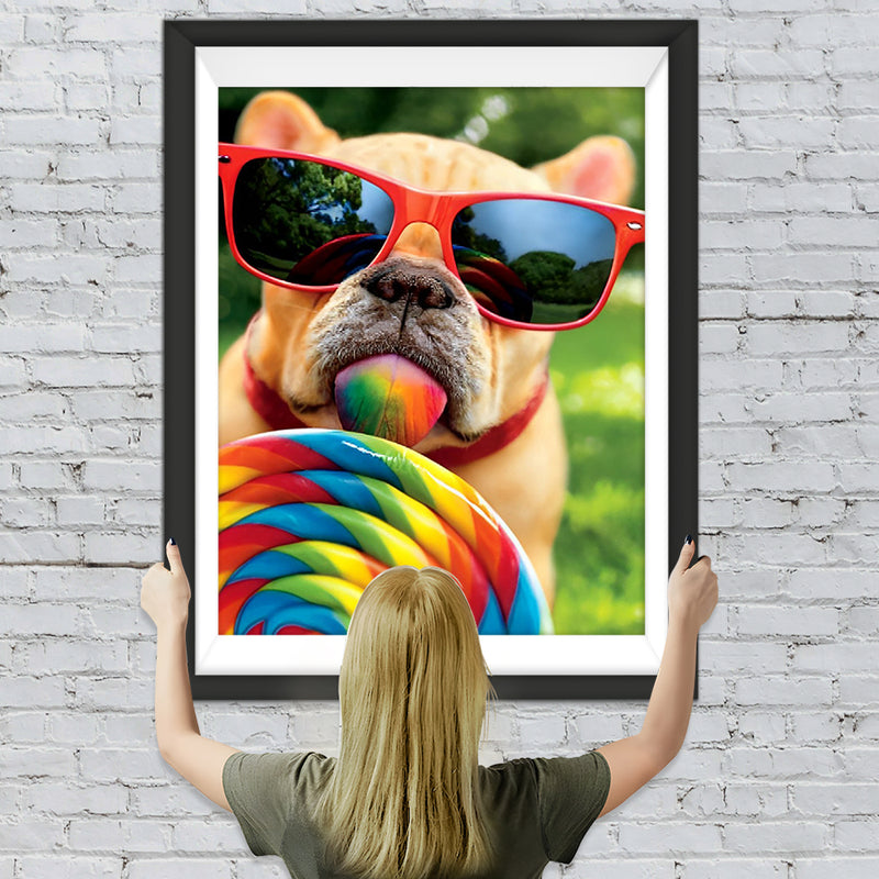 Lutscher essende Bulldogge mit Sonnenbrille Diamond Painting