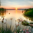 Natur