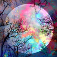 Mond