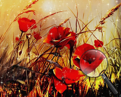 Mohnblumen und Herbstgras Diamond Painting