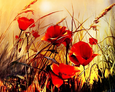 Mohnblumen und Herbstgras Diamond Painting