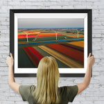 Niederländisches farbiges Tulpenfeld Diamond Painting