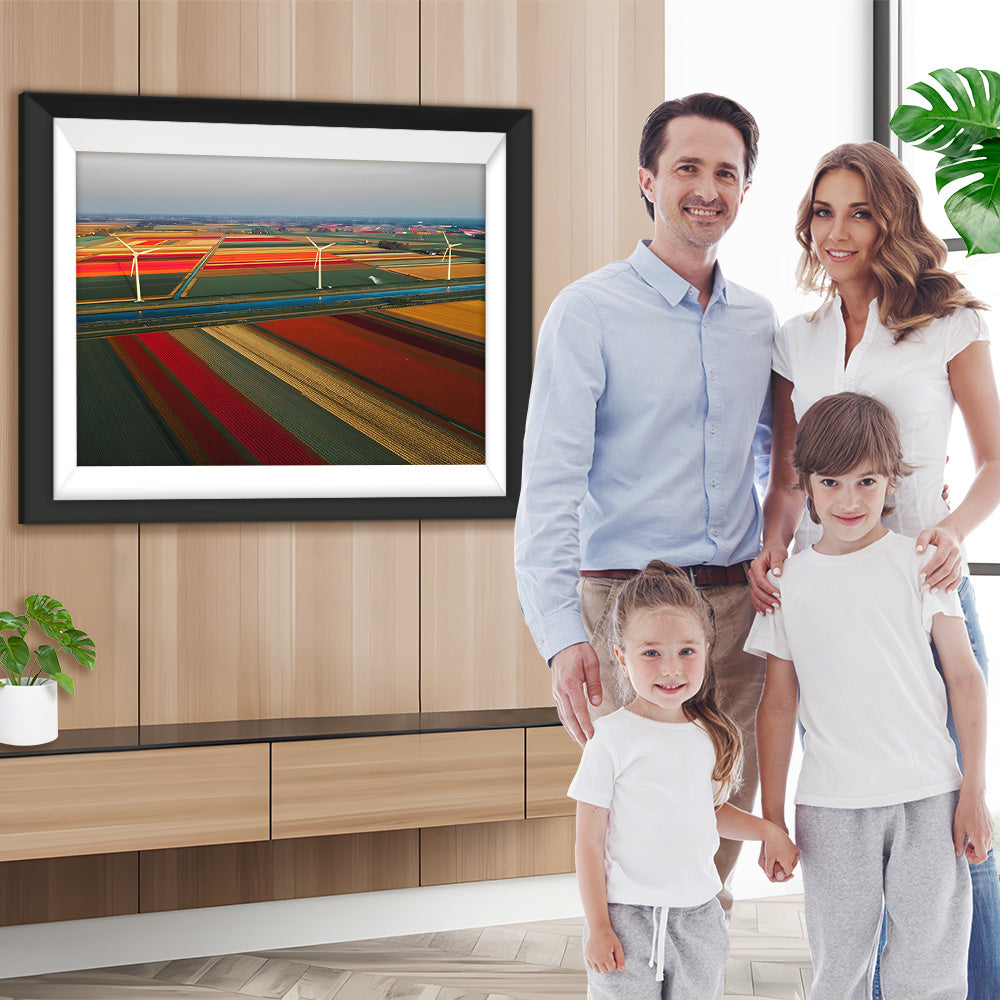 Niederländisches farbiges Tulpenfeld Diamond Painting