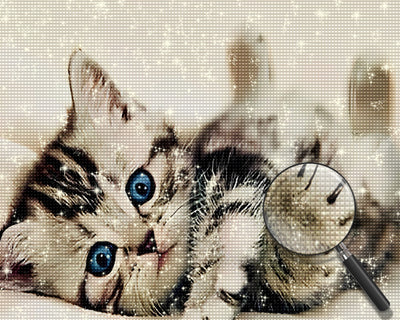 Niedliche Katze mit blauen Augen Diamond Painting
