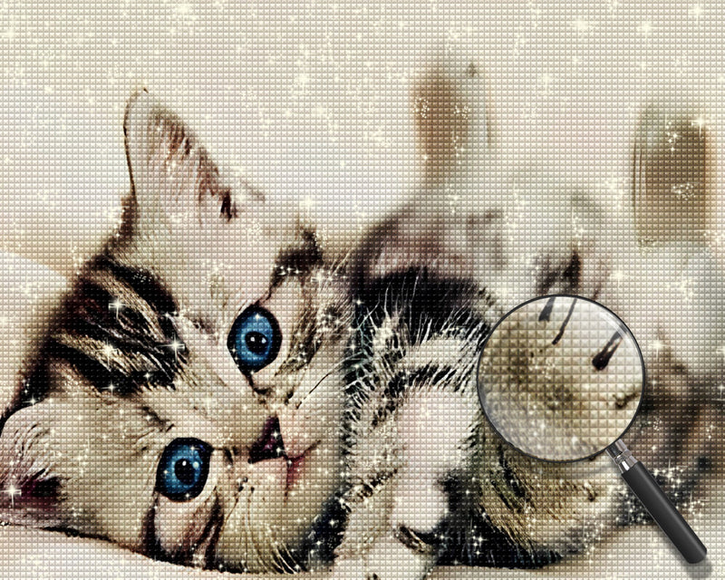 Niedliche Katze mit blauen Augen Diamond Painting