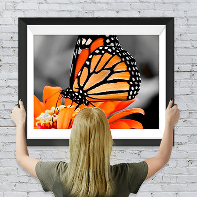 Orange Schmetterling auf der Blume Diamond Painting