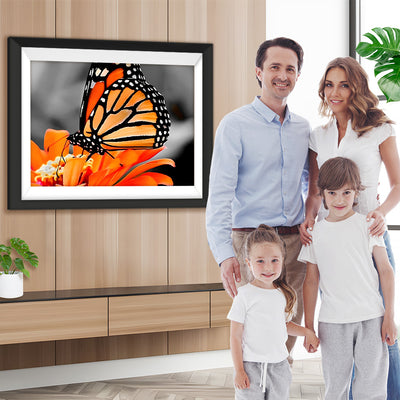 Orange Schmetterling auf der Blume Diamond Painting