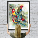 Papageien Diamond Painting