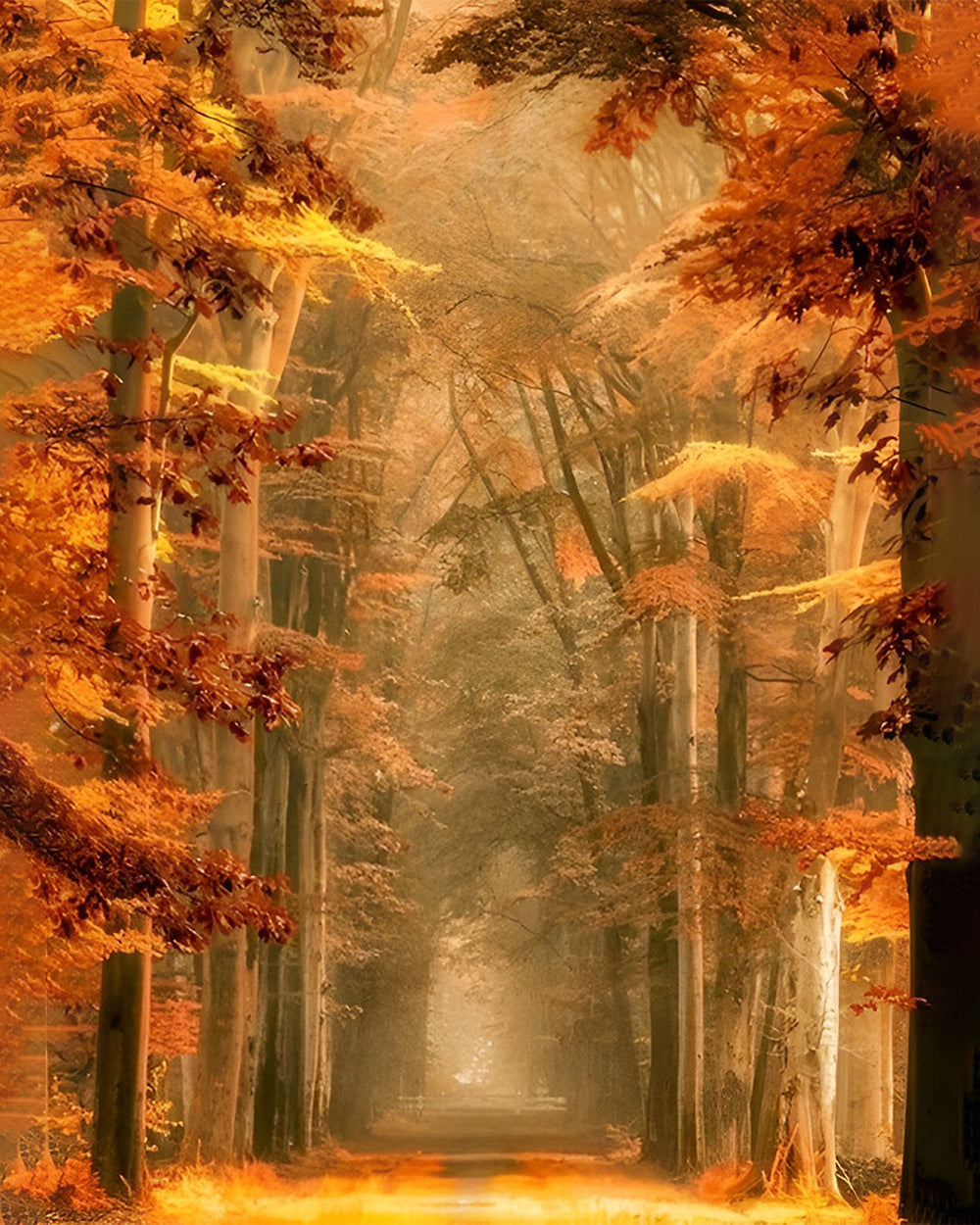 Path in the Autumn Forest Diamond Painting