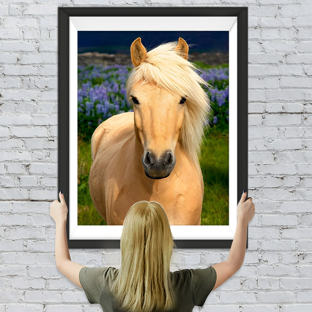 Pferd auf dem Feld Diamond Painting