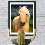 Pferd auf dem Feld Diamond Painting