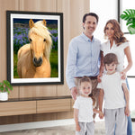 Pferd auf dem Feld Diamond Painting