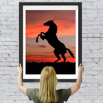 Pferd bei Sonnenuntergang Diamond Painting