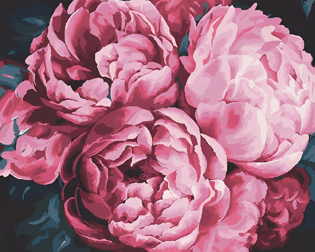 Pfingstrosen in voller Blüte Diamond Painting