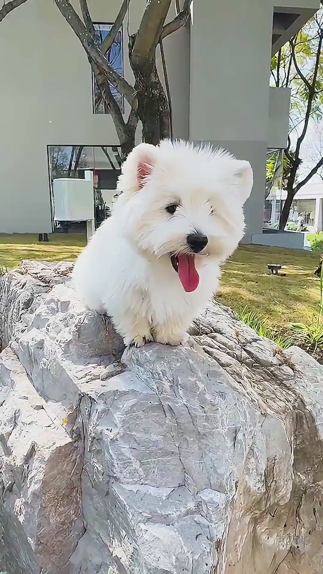 Dein Foto als Diamond Painting