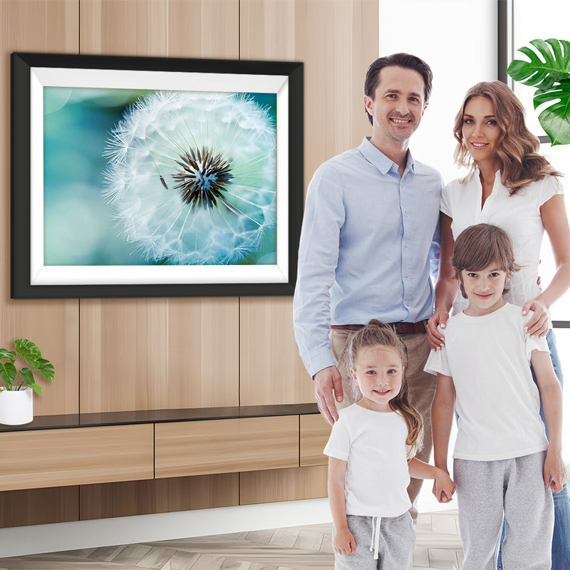 Pusteblume Diamond Painting