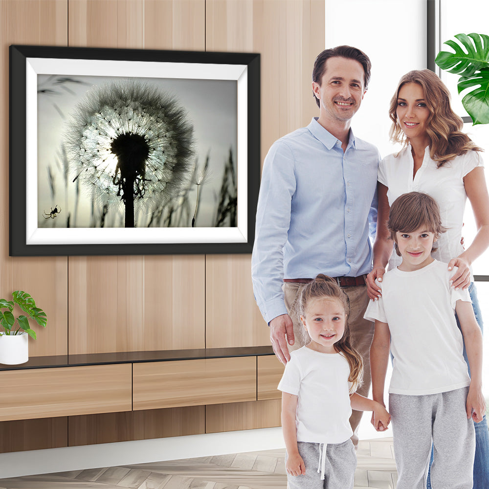 Pusteblume Diamond Painting