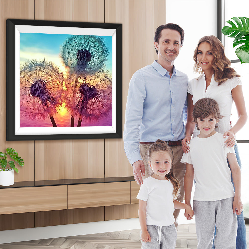 Pusteblumen bei Sonnenuntergang Diamond Painting