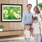 Pusteblumen und grüner Hintergrund Diamond Painting