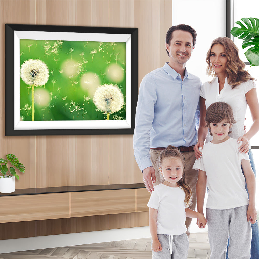 Pusteblumen und grüner Hintergrund Diamond Painting