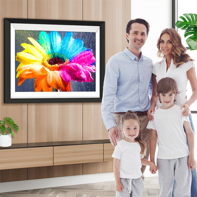 Regenbogen-Gänseblume und Tautropfen Diamond Painting