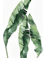 Riesige grüne Blätter Diamond Painting