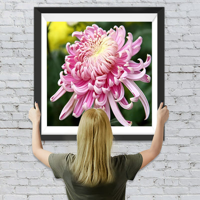 Rosa Chrysantheme Diamond Painting